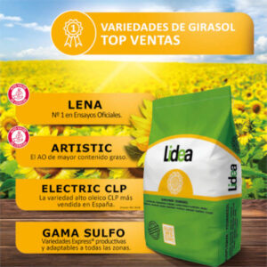 Lidea presenta su gama de girasol de alto rendimiento para la campaña 2025