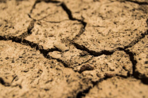 El MAPA promueve un sistema de reaseguro europeo en el ámbito agrario