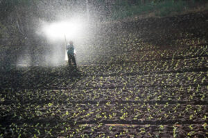 14.300 empresas agrarias y 35.000 empleos perdidos en el sector agrario en solo cuatro años