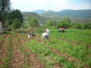 9 millones de euros en nuevos derechos de la Reserva Nacional para 2.010 agricultores