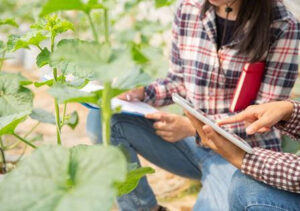 Ampliado el catálogo del plan anual de formación para técnicos del medio rural