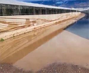ASAJA y COAG de Almería exigen corregir la reducción de módulos para el sector hortícola