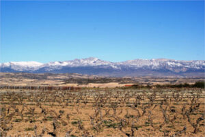 UPA propone cambios en las medidas para el vino que se negociarán en el Trílogo