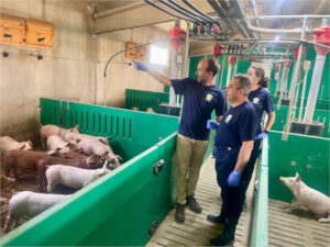 Presentan avances de la mejora de la alimentación animal para reducir la huella de carbono del sector porcino