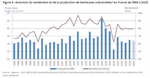 Francia prevé un récord en producción de patata y un retroceso en remolacha en 2025