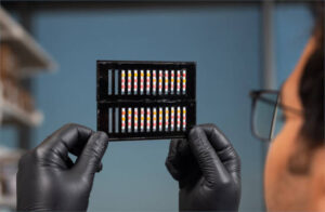 Biosensor en papel para identificar maíz y soja MG