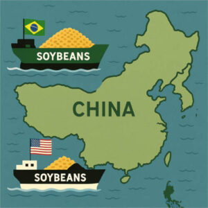 La soja de EEUU pierde peso en China mientras Brasil alcanza cifras récord de exportación