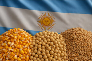 Argentina revoluciona el mercado mundial de granos: en tres días quita y pone su impuesto a la exportación