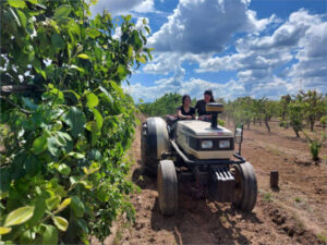 Extremadura lanza un instrumento financiero para jóvenes agricultores y modernización de explotaciones