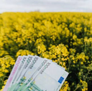 SAECA gestionará 75 M€ en préstamos para reforzar el crédito agrario