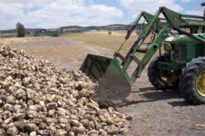 Las organizaciones agrarias piden a AB Azucarera que abra la planta de Jerez