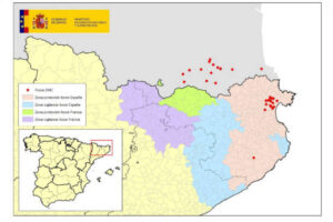 Casi un mes sin casos de DNC en España mientras que Francia continua registrando focos en los Pirineos