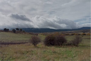Cataluña abre su 1ª convocatoria para arrendar tierras agrarias en desuso