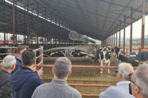 Aragón vacuna ya a 59.585 bovinos frente a la DNC
