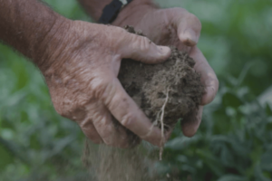 Los agricultores pierden prestaciones en la Seguridad Social