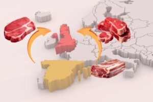 Reino Unido acepta el porcino español y Argentina los productos curados