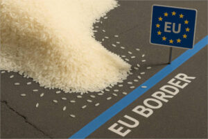 Cantidades ingentes de arroz entrarán en la UE con la nueva salvaguardia aprobada