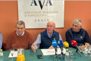 AVA-ASAJA cuantifica en 340 millones las pérdidas de un año agrario 2025 “muy difícil”