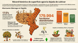 C. Valenciana bate en tierras abandonadas: 179.994 ha en 2025