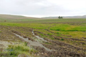 Piden flexibilizar la PAC por las lluvias que impiden las siembras