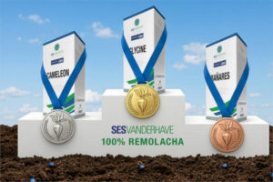 Las Top-4 de variedades recomendadas por AIMCRA en el catálogo 2026 de SESVANDERHAVE