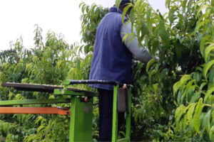 El Gobierno tramita una regularización extraordinaria y el campo reclama que llegue a tiempo para las campañas