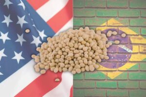 ¿Quién es más competitivo produciendo soja, Estados Unidos o Brasil?