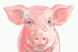 El mercado porcino global enfrenta una crisis de márgenes sin precedentes mientras emerge un cambio estructural en la oferta