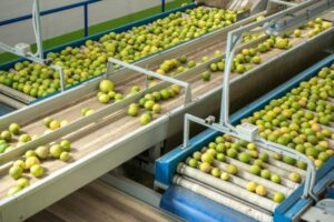 TOP 20 cooperativas agro que más facturan en España