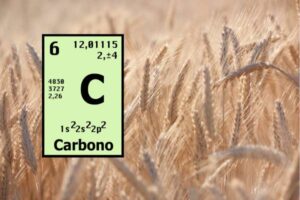 El potencial oculto del campo español: 2 millones de hectáreas capturan carbono gratis