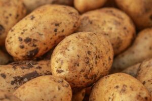 La NEPG urge a reducir la superficie de patata en Europa para evitar ventas a pérdidas