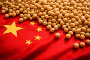 China importará más soja en la campaña 2026/27