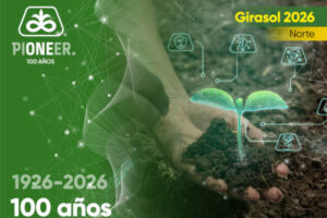 Pioneer presenta el catálogo de girasol para las siembras en la zona norte