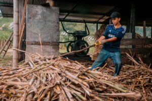 La UE suspende las importaciones de azúcar de caña para refinar