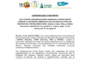 Las OPAs asturianas denuncian que las multas son un «copia y pega» sin pruebas