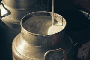 UUAA denuncia ante la AICA y la Fiscalía la posible existencia de un cártel de la leche