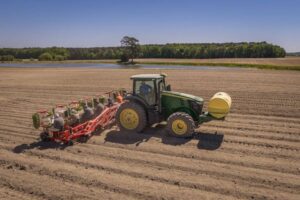 UPA Castilla y León alerta del riesgo de cercospora en remolacha sin autorización del único fungicida eficaz