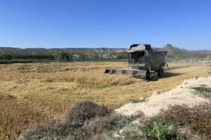 Castilla-La Mancha lanza una ayuda de 400 €/ha para sostener el único arroz de montaña de España