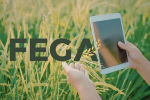Ahora puede proponer ideas al Plan de Actuación del FEGA 2027-2029