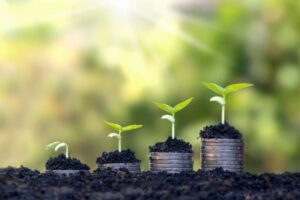 La renta agraria sube un 8,9 % en 2025 pero con costes al alza y menos ayudas