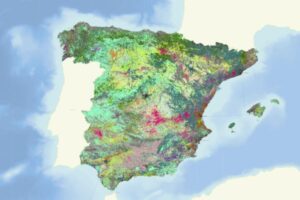 Quién ejecuta, quién concentra y quién se queda atrás en la PAC 2025