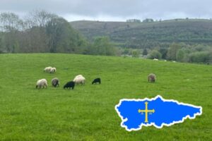 Asturias pierde 9,5 millones de euros de fondos europeos agrarios por no ejecutar su partida del FEADER