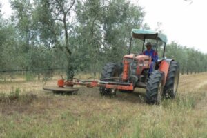 Andalucía exige a Hacienda una mayor rebaja de los módulos del IRPF agrario