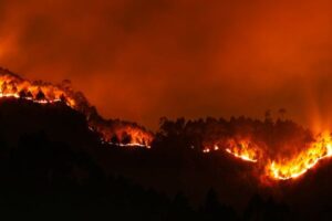 Galicia exime de penalizaciones por retraso en la PAC a los afectados por temporales e incendios
