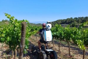 Subproductos de almendra y uva para el control de malas hierbas en viñedo