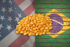¿Dónde es más rentable producir maíz, en Estados Unidos o en Brasil?
