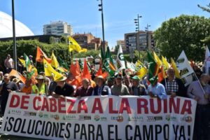 El campo de Castilla y León toma Valladolid y exige que producir deje de salir a pérdidas
