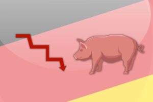 El mercado porcino europeo cede ante la presión alemana