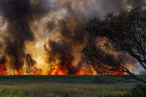 UAGN defiende que los agricultores navarros son parte de la solución ante los incendios, no del problema