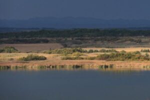 Aragón analiza 65 alegaciones al nuevo mapa de zonas vulnerables a nitratos
